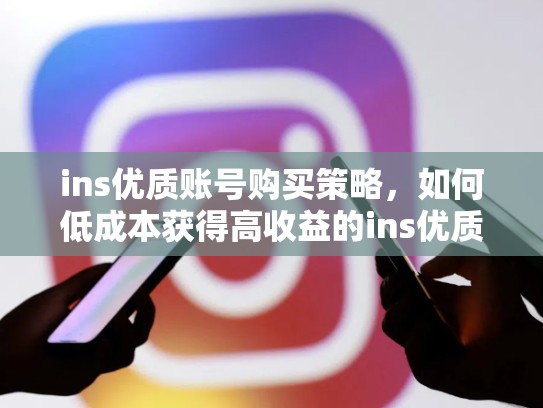 ins优质账号购买策略，如何低成本获得高收益的ins优质账号，好的ins账号