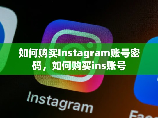 如何购买Instagram账号密码，如何购买ins账号