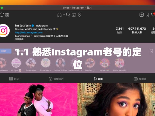 1.1 熟悉Instagram老号的定位