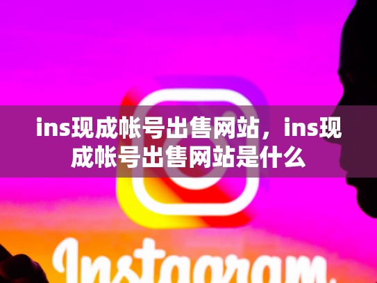 ins现成帐号出售网站，ins现成帐号出售网站是什么