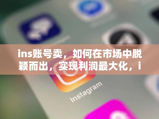 ins账号卖，如何在市场中脱颖而出，实现利润最大化，ins账号交易平台