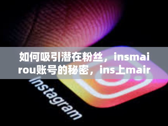 如何吸引潜在粉丝，insmairou账号的秘密，ins上mairou