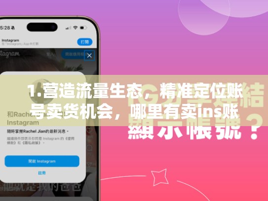1.营造流量生态，精准定位账号卖货机会，哪里有卖ins账号