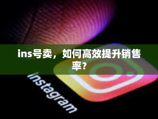 ins号卖,如何高效提升销售率?