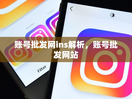 账号批发网ins解析，账号批发网站