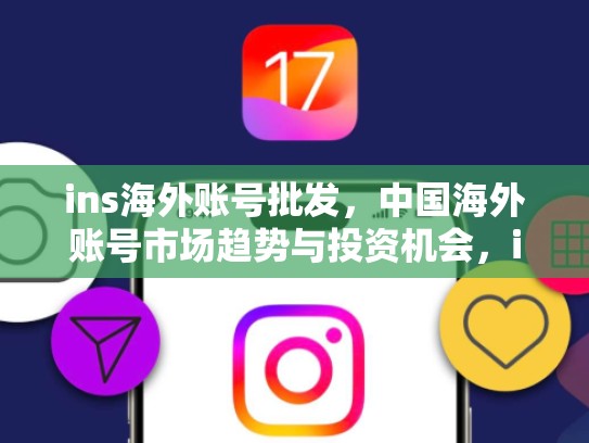 ins海外账号批发，中国海外账号市场趋势与投资机会，ins海外账号批发网