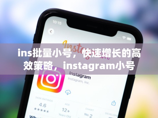 ins批量小号，快速增长的高效策略，instagram小号