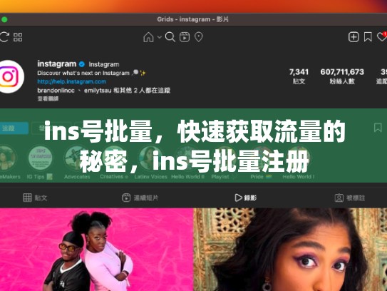 ins号批量，快速获取流量的秘密，ins号批量注册