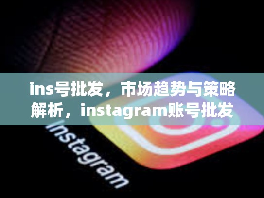 ins号批发，市场趋势与策略解析，instagram账号批发