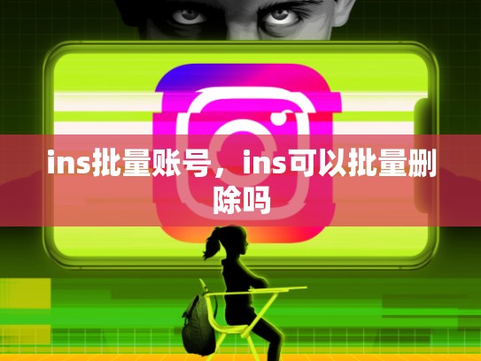 ins批量账号，ins可以批量删除吗