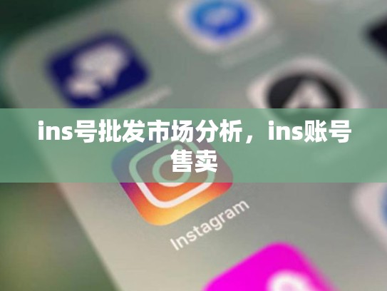 ins号批发市场分析，ins账号售卖