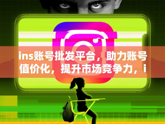 ins账号批发平台，助力账号值价化，提升市场竞争力，ins账号批发平台哪个好