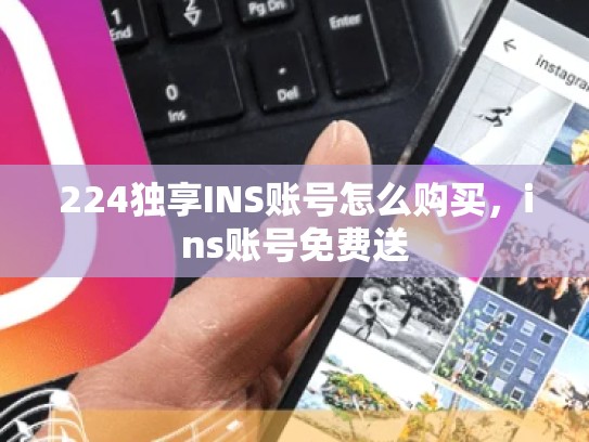 224独享INS账号怎么购买，ins账号免费送