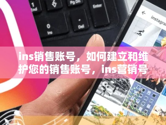 ins销售账号，如何建立和维护您的销售账号，ins营销号
