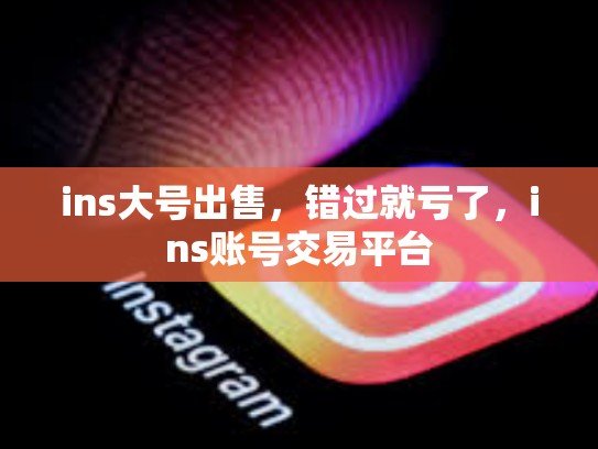 ins大号出售，错过就亏了，ins账号交易平台