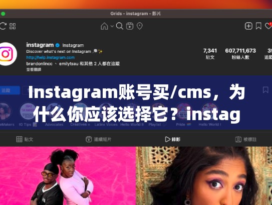 Instagram账号买/cms，为什么你应该选择它？instagram账号在哪买